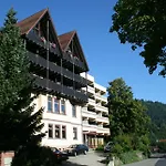 Otel Bergfrieden