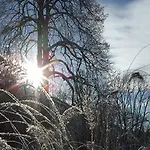 Bergfrieden