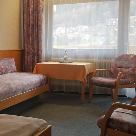 Szálloda Bergfrieden Bad Wildbad
