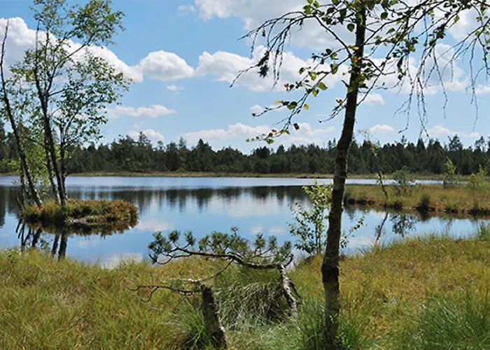 Hotel Bergfrieden 3*